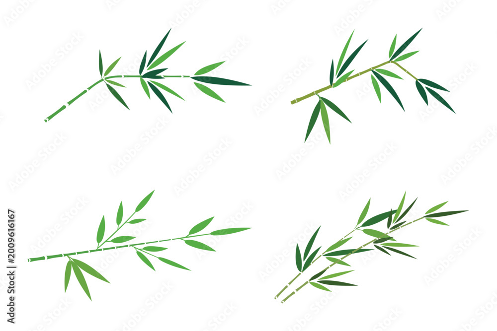 Obraz premium Set of bamboo branches with green leaves vector illustration isolated on transparent background