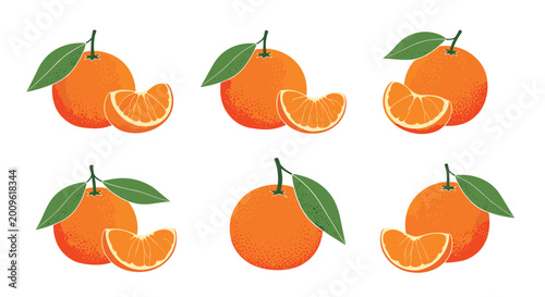 Set of six vibrant orange illustrations featuring whole fruits with green leaves and juicy slices in different arrangements.
