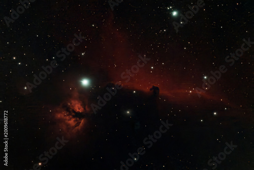 Slika na platnu Horsehead Nebula Against a Starry Background