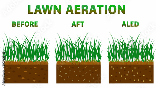 Tablou pe pânză lawn aeration illustration showing before after and aerated soil