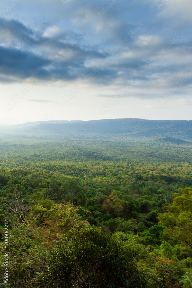 Fototapeta premium A view of the tropical forest in Ta Phraya National Park at sunrise.