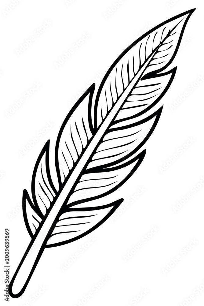 Fototapeta premium Black and White Stylized Quill Feather Drawing