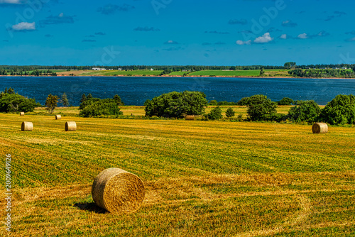 Cuadro en lienzo Round hay bales in harvested farmland on the east coast of Prince Edward Island, Canada, with blue water and rural landscape beyond