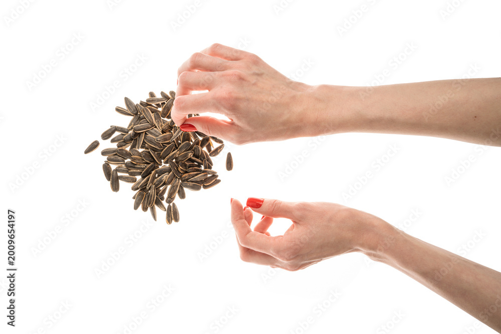 Fototapeta premium Female hand sunflower seeds on a white background isolation