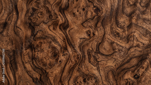 Exotic burl wood grain texture background with intricate swirl patterns and knots
