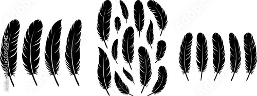 фотографія Black Silhouette Feather Collection Set with Various Shapes and Sizes Isolated o