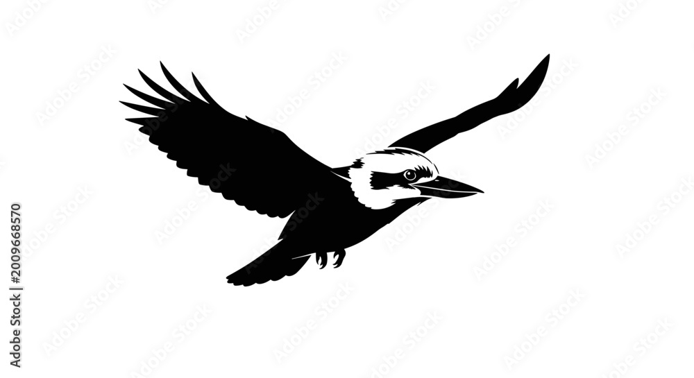 Obraz premium Silhouette of flying woodpecker bird.