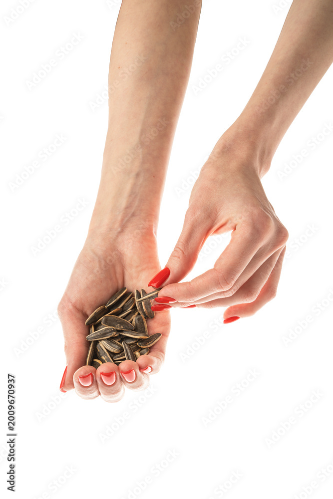 Fototapeta premium Female hand sunflower seeds on a white background isolation