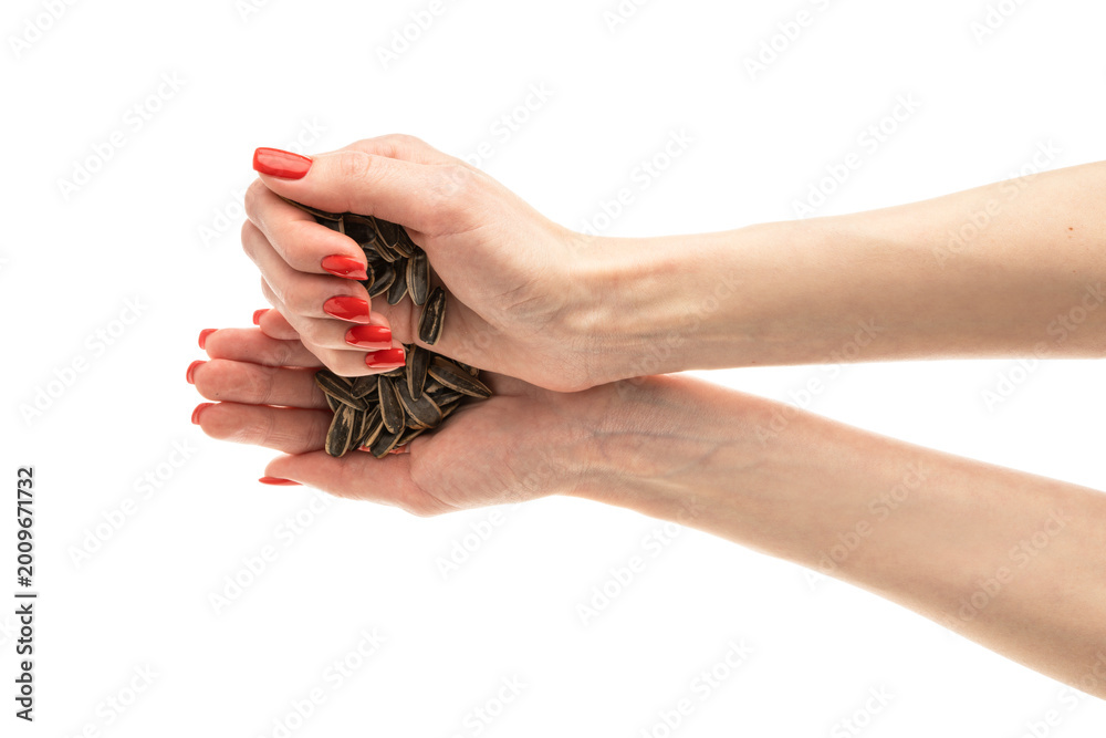 Fototapeta premium Female hand sunflower seeds on a white background isolation