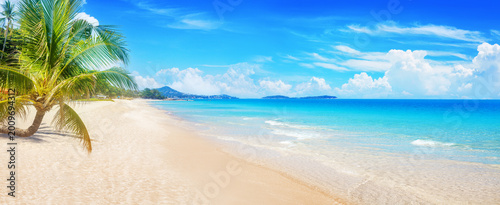 Foto Sea sandy beach landscape, paradise tropical island panorama, green coconut palm