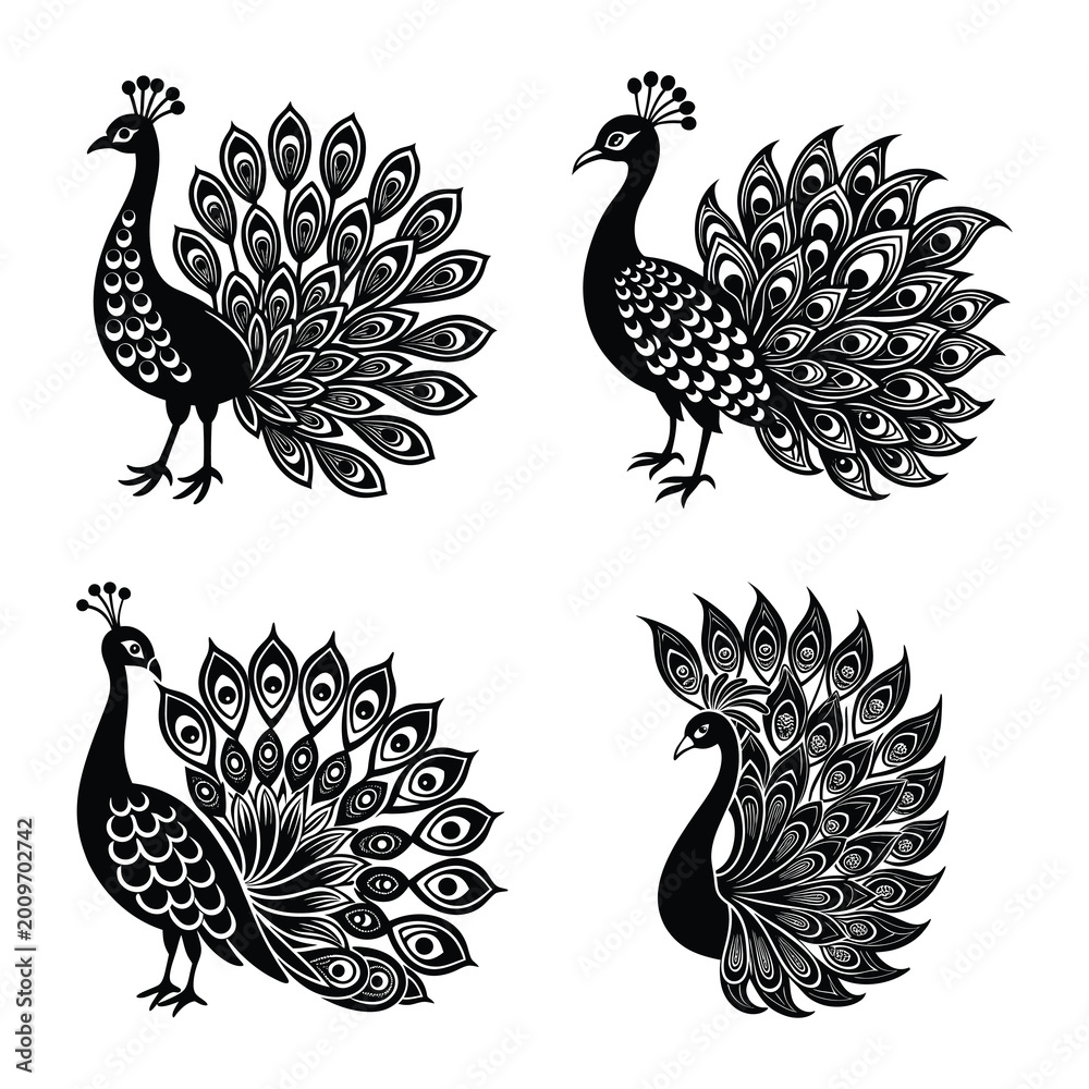 Fototapeta premium Peacock Feather Silhouette Set, Decorative Bird Vector Collection