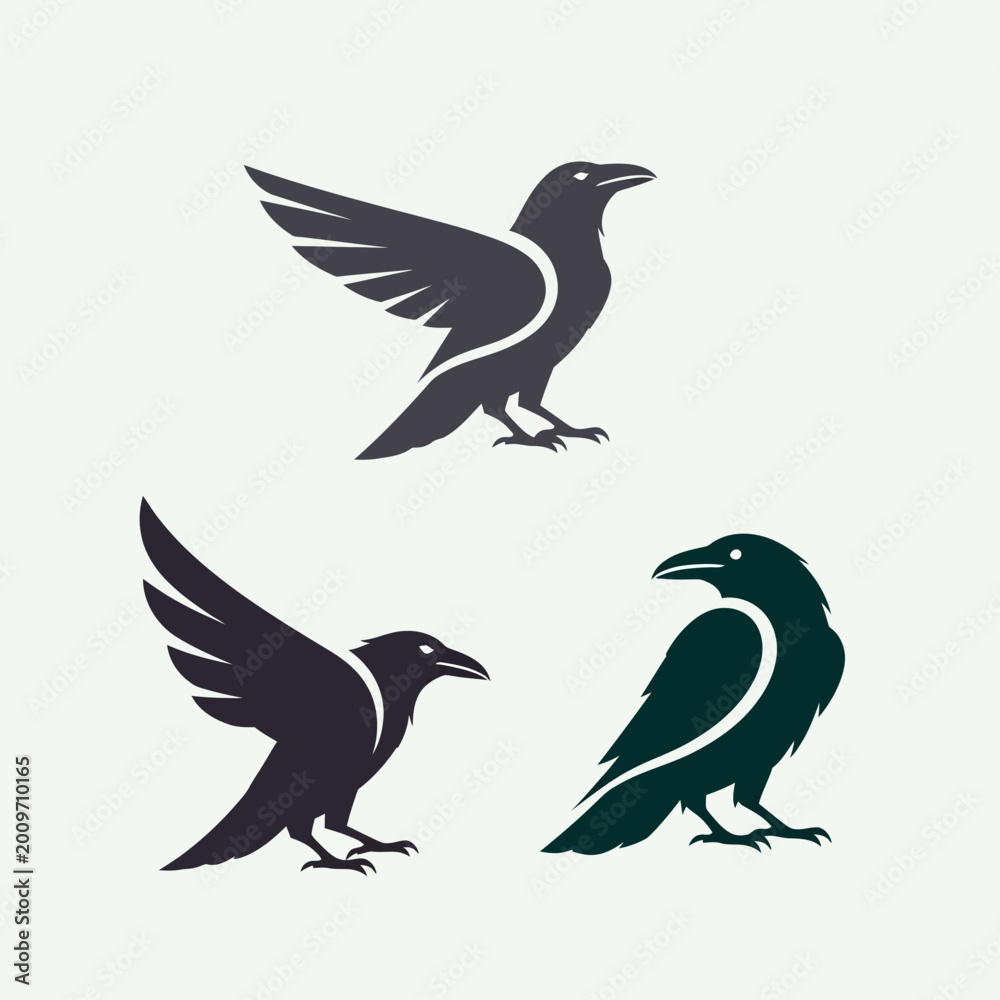 Fototapeta premium Three stylized raven silhouettes in different poses, dark grey and teal colors, white background