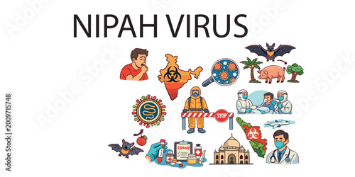 Photos nipah virus structure and viral replication