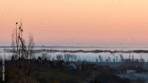 Tableau sur toile fog and low cloud above Danube River in Novi Sad in autumn