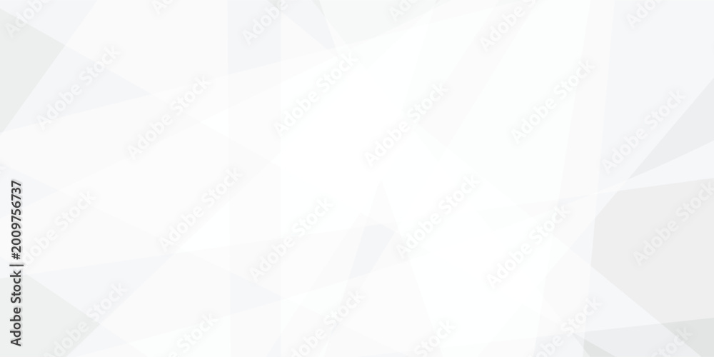 Obraz premium Abstract white and gray background with texture pattern, layered geometric triangle shapes and geometric background with overlapping transparent polygon shapes in light gray and white tones .