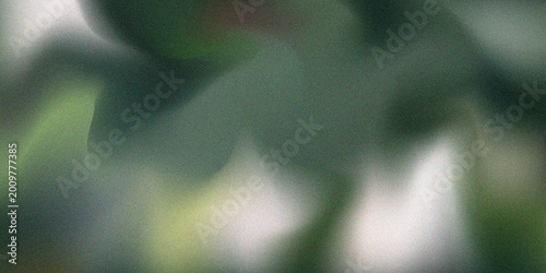 Abstract blurred background featuring soft transitions of green and white light, creating a dreamy, ethereal, and out-of-focus natural atmosphere.