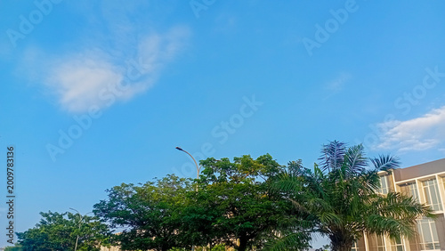 Принти на полотні Blue sky with shady trees in sunny weather.
