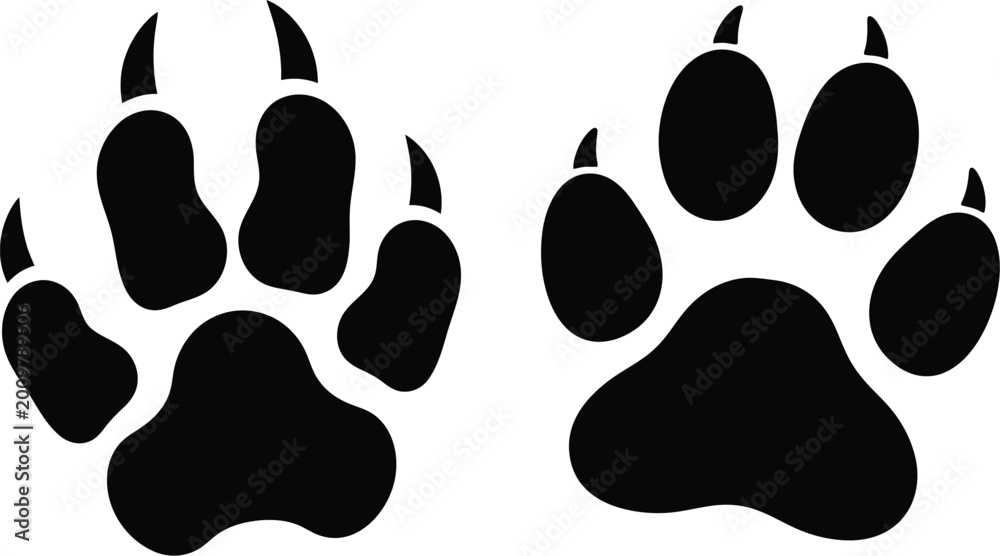 Fototapeta premium Black silhouette of two animal paw prints with visible claws