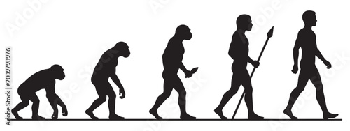 Human Evolution Silhouette Ape to Man Progression Vector