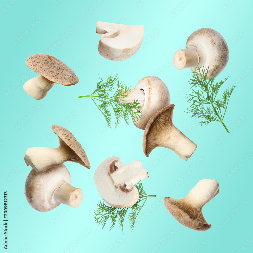 Fototapeta premium Fresh mushrooms and dill flying in air against turquoise gradient background