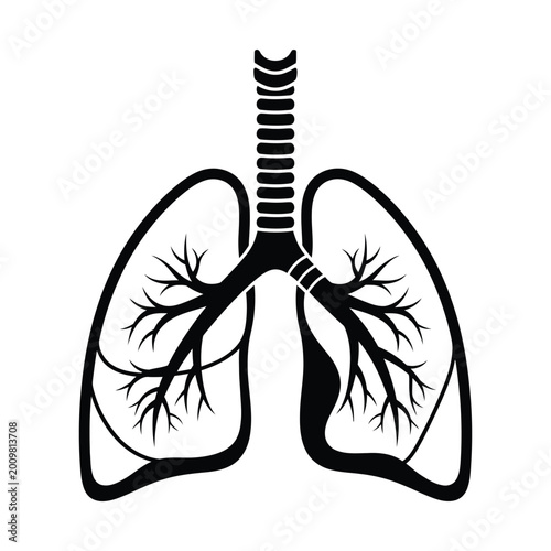 Tableau sur toile Anatomical illustration of the human respiratory system, showing the lungs, bronchi, and trachea in a black silhouette