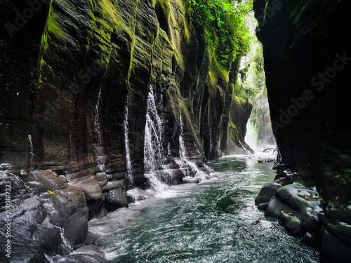 Canvas Print Experience the breathtaking beauty of a lush, green canyon with a flowing river