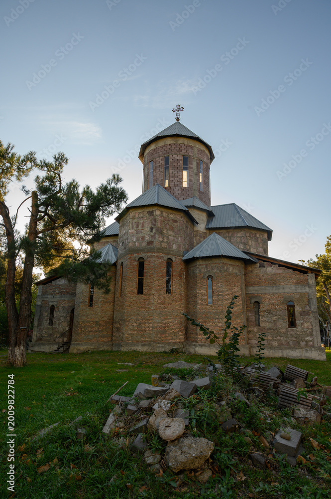 Fototapeta premium Monastery in Tbilisi with mountain background
