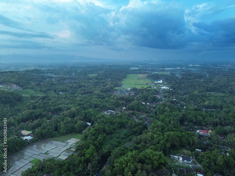 Fototapeta premium Aerial View of Lush Rice Fields and Rural Landscape in Bantul, Yogyakarta