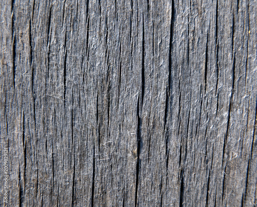 Gray background of old cracked wood.