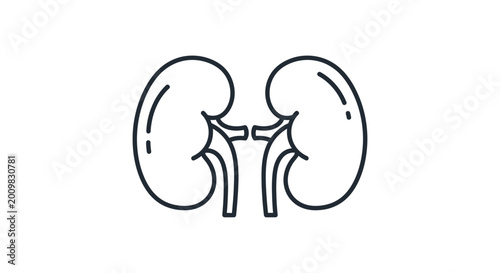 Human Kidney Icon Outline Vector Illustration - Medical Health Symbol
