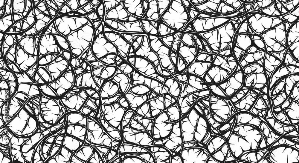 Obraz premium Abstract Spiky Twisting Thorny Vines Pattern - Black and White Texture Background