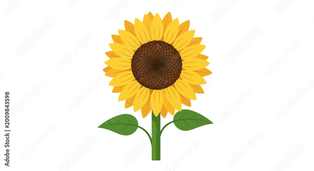 Fototapeta premium Vibrant Sunflower Illustration with Green Leaves on White Background