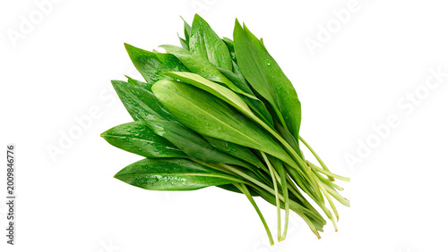 Fotografía Bunch of fresh green parsley or cilantro herbs wild garlic fresh ramson leaves i