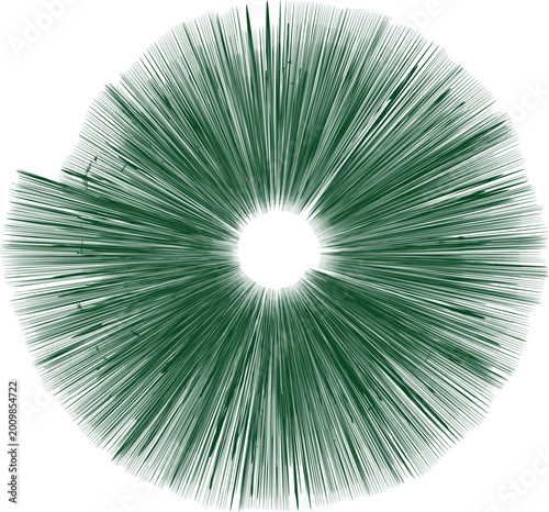 Fotografía Abstract radial burst shape dark green lines on white background
