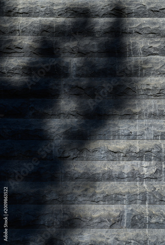 Stone Wall Background with Tree Shadows Close-Up