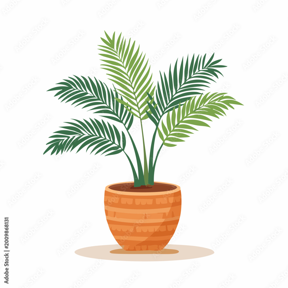 Obraz premium Potted Areca Palm Plant Illustration