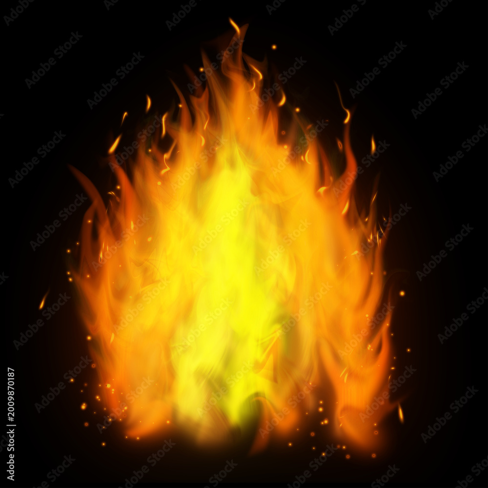 Fototapeta premium fire on a black background