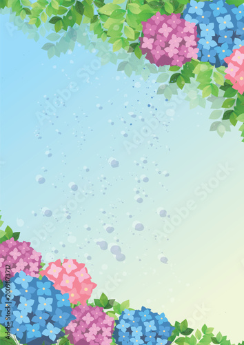 夏の梅雨　紫陽花風景