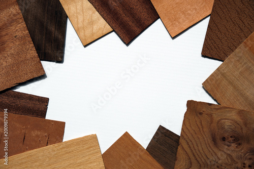 Assorted Wood Veneer Samples Border on White Background, Variety of Wooden Texture Sheets and Timber Grain Swatches for Carpentry and Interior Design