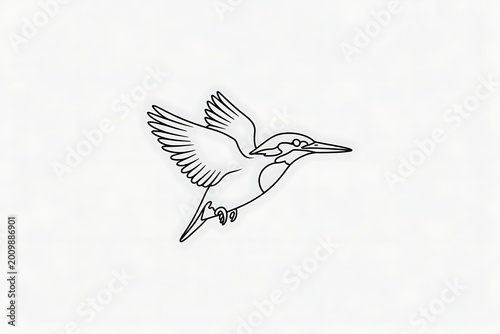 Kingfisher bird flying with open wings