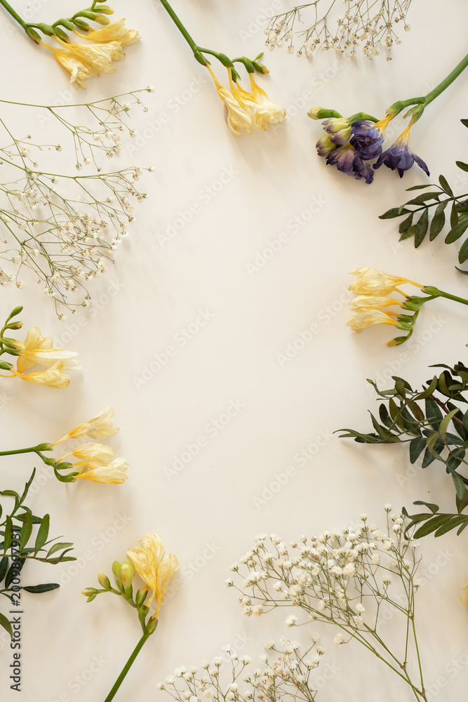 Fototapeta premium Floral Flat Lay with Freesia and Baby's Breath
