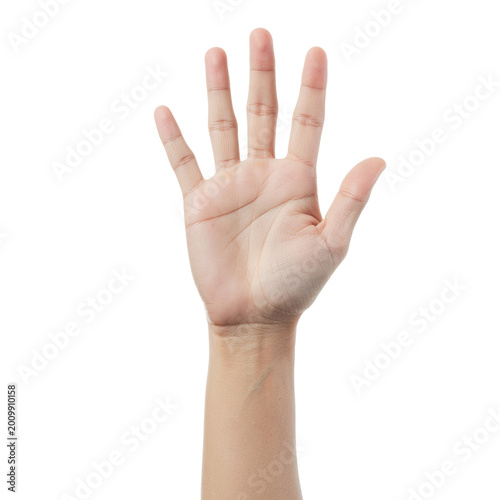 Open Hand Showing Five Fingers