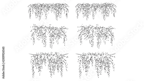 Bild auf Leinwand Hanging creeper vine illustration in minimalist black outline style for garden design art