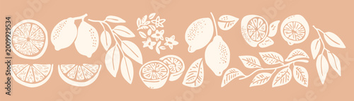 Cuadro en lienzo Hand drawn mediterranean lemon vector set with rustic linocut citrus fruit, bran