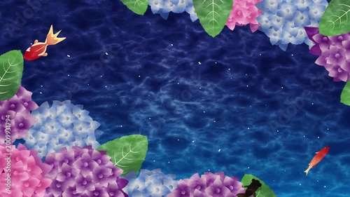 夏の梅雨　紫陽花背景