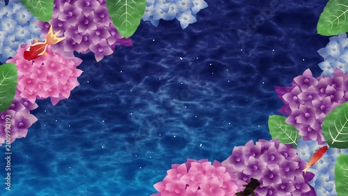 夏の梅雨　紫陽花背景