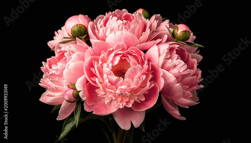 Vibrant Pink Peony Bouquet Bloom Against Elegant Black Backdrop
