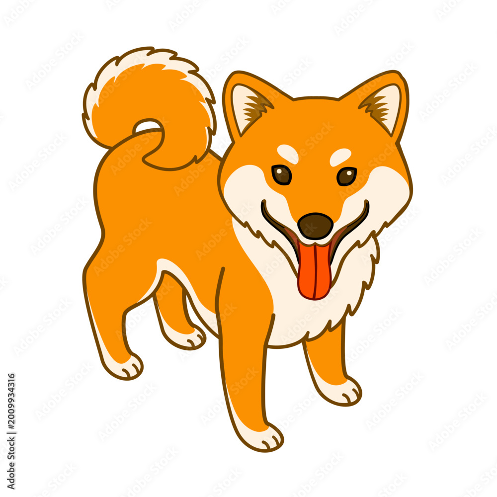 Fototapeta premium Japan domestic dog Shiba Inu
