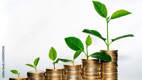 Flourishing green plants on gold coins a business environment digital art concept