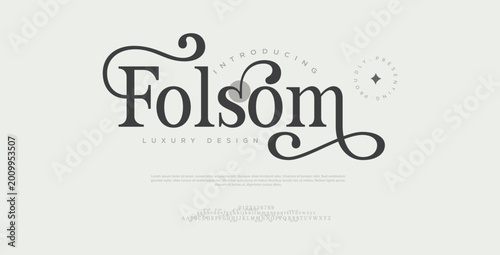 Canvastavla Folsom, Elegant alphabet beauty logo font
